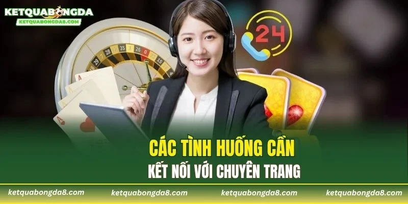 Các tình huống cần kết nối với chuyên trang