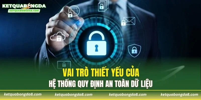 Vai trò thiết yếu của hệ thống quy định an toàn dữ liệu